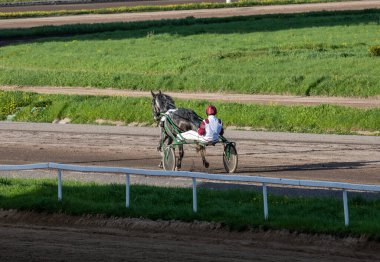 Güneşli bir günde Hipodrom 'da Arap atlarında kundakçılık yarışı 