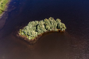 İHA 'dan geniş bir göl, orman, tarla ve yolların köyüne panoramik manzara 
