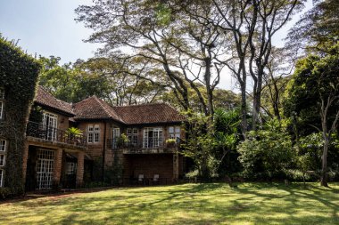 Ağaçlar arasında tropik sarmaşıklarla örülmüş kır evi. 