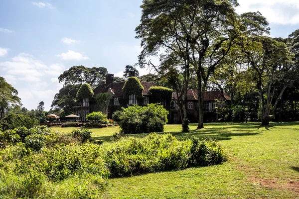 country house braided with tropical vines among the trees