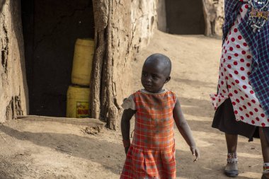 Masai kabilesinden insanlar Afrika 'da safari için ev eşyaları alıyorlar. 