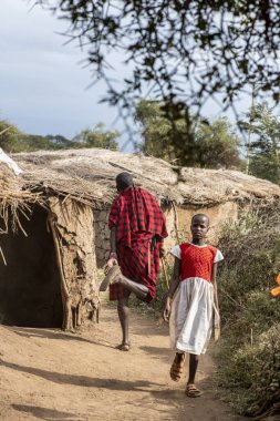 Masai kabilesinden insanlar Afrika 'da safari için ev eşyaları alıyorlar. 