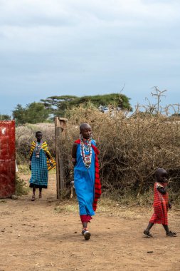 Masai kabilesinden insanlar Afrika 'da safari için ev eşyaları alıyorlar. 