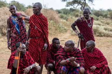 Masai kabilesinden insanlar Afrika 'da safari için ev eşyaları alıyorlar. 