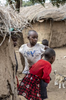 Masai kabilesinden insanlar Afrika 'da safari için ev eşyaları alıyorlar. 