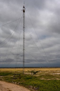 Kenya 'da bir milli parkta pist