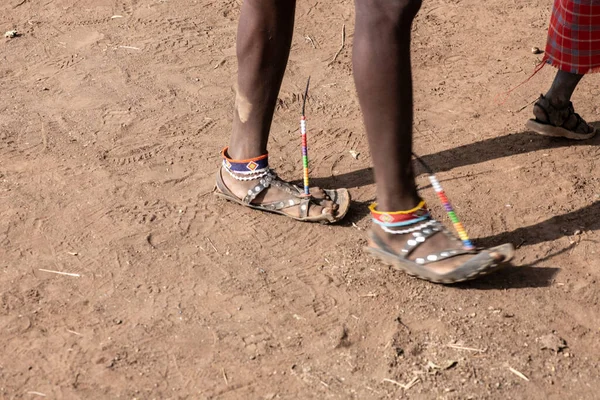 Masai Kabilesinden Insanlar Afrika Safari Için Eşyaları Alıyorlar — Stok fotoğraf