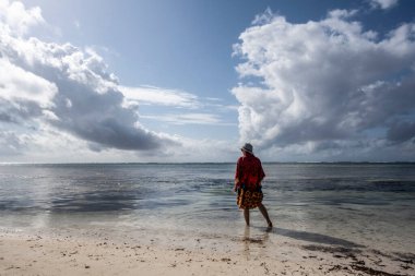 Mavi şapkalı kadın denizin alçak gelgiti sırasında mercan ve adaların arka planına poz veriyor. 