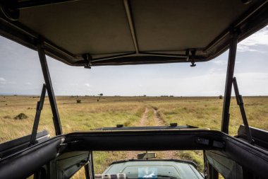 Ağaçları ve bitmeyen çalıları olan güzel Afrika manzarası