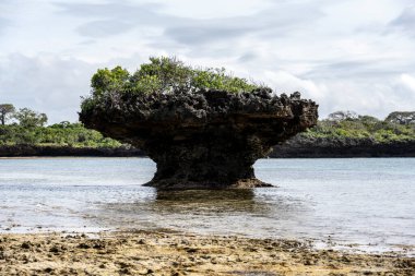 Hint Okyanusu alçak gelgitte mercan resifleri açığa çıktığında 