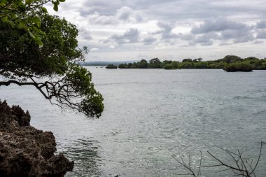 Hint Okyanusu alçak gelgitte mercan resifleri açığa çıktığında 