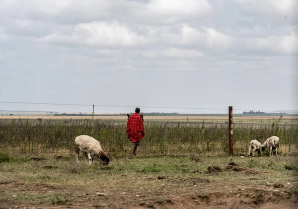 ケニアのマサイ マラ地区の住民は日々の活動の中で — ストック写真