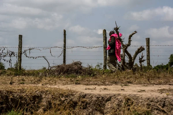 ケニアのマサイ マラ地区の住民は日々の活動の中で — ストック写真