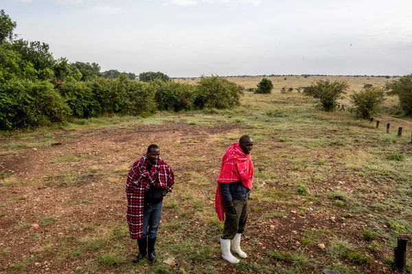 ケニアのマサイ マラ地区の住民は日々の活動の中で — ストック写真