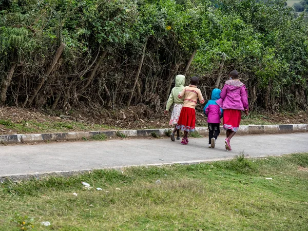 Kenya 'nın Masai Mara bölgesinin yerel sakinleri günlük faaliyetlerinde