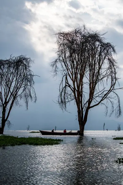 Bela Paisagem Africana Com Árvores Grande Lago — Fotografia de Stock