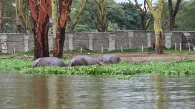 Göldeki su ve kıyıda dinlenen dost bir aile.