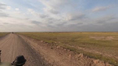 Ulusal parkta küçük yavruları olan büyük bir fil ailesinin göçü.