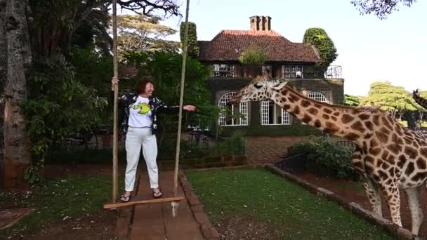 Girafas Vieram Floresta Para Café Manhã Para Pessoas — Vídeo de Stock