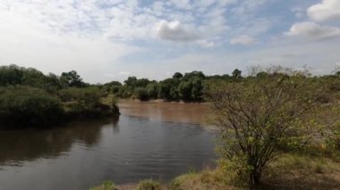 Sudaki göldeki su aygırları ve ulusal parktaki geniş ve dost canlısı bir ailenin kıyıları. 
