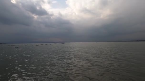 Ποταμός Αετός Κυνήγι Ψαριών Στη Λίμνη — Αρχείο Βίντεο