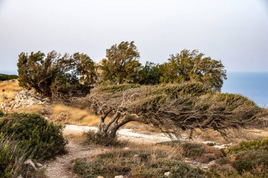 Girit 'te dağlarla ve denizlerle dolu yaz manzarası