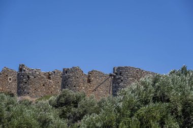 Tipik zeytin ağaçları ve Girit dağları olan kırsal alan