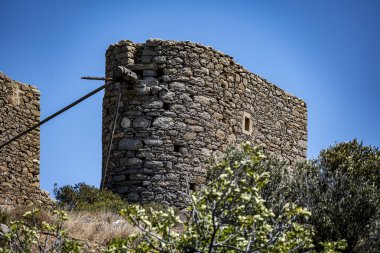 Tipik zeytin ağaçları ve Girit dağları olan kırsal alan