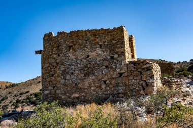 Tipik zeytin ağaçları ve Girit dağları olan kırsal alan
