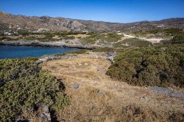 Tipik zeytin ağaçları ve Girit dağları olan kırsal alan
