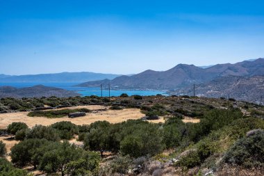 Tipik zeytin ağaçları ve Girit dağları olan kırsal alan