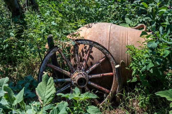 典型的なギリシャの植物園で — ストック写真