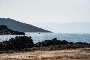 Tipik zeytin ağaçları ve Girit dağları olan kırsal alan