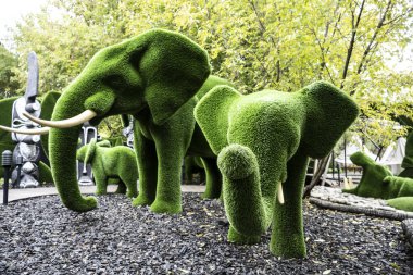 Sihirli ormandaki yeşil çimlerden gelen sihirli yeşil hayvanlar