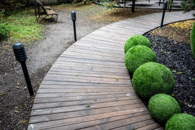 Sonbahar ormanlarında elf ve cücelerden oluşan yeşil toplar ve sihirli evler