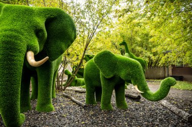 Sihirli ormandaki yeşil çimlerden gelen sihirli yeşil hayvanlar