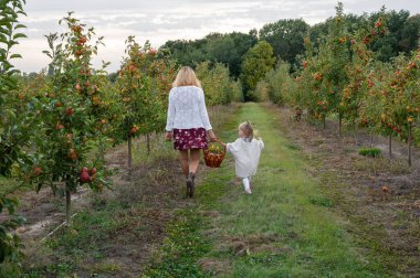 Genç ve güzel anne ve kızı elma bahçesinde yürüyorlar.. 