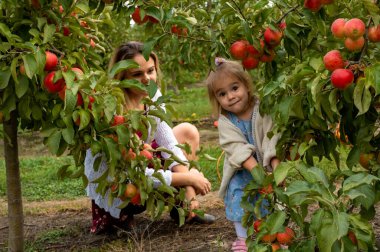 Genç güzel anne ve komik küçük kızı bahçede elma topluyor.. 