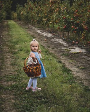 Şirin küçük kız elma bahçesinde bir sepet tutuyor..