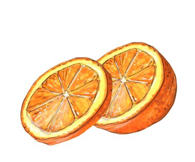 Suluboya portakal dilimleri izole, kesilmesi kolay