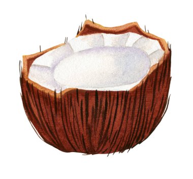 Çatlak hindistan cevizi, beyaz arka planda yarı izole.