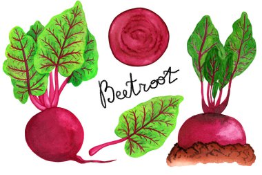 Suluboya pancar seti izole, beyaz arkaplan