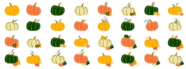 Big pumpkin vector set with flower, tendril, leaf — Stock Vector