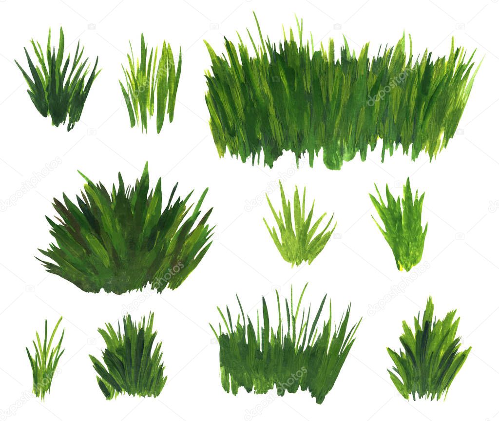 Grass bunch watercolor set. Green sedge stack