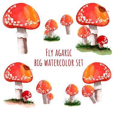 Big fly agaric watercolor set in the grass