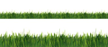 Green grass watercolor seamless border line