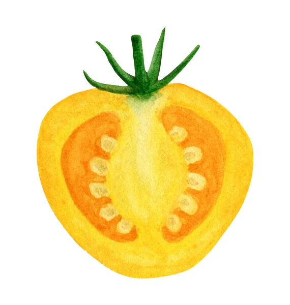 Seção transversal amarelo tomate aquarela ilustração — Fotografia de Stock