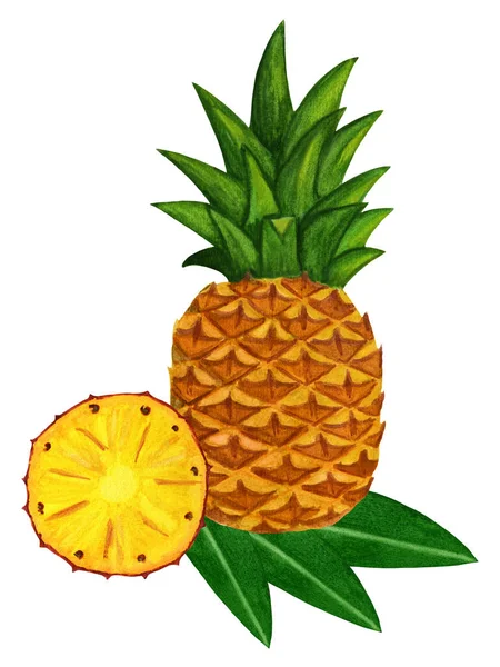 Watercolor pineapple with slice and leaf. Tropical t shirt design. — Stock Photo, Image