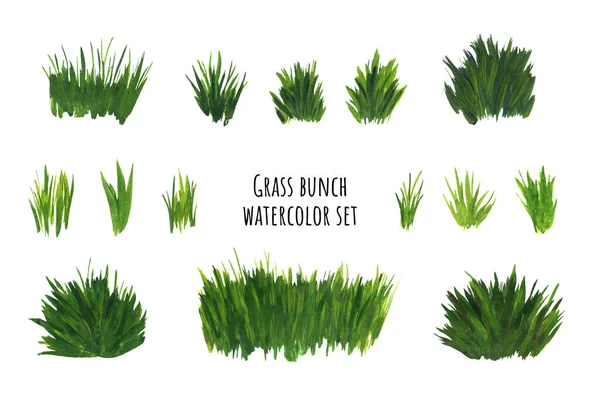 Grass bunch watercolor set. Green sedge stack — Stock Photo, Image