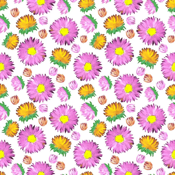 Pink aster bud watercolor seamless pattern — Stockfoto